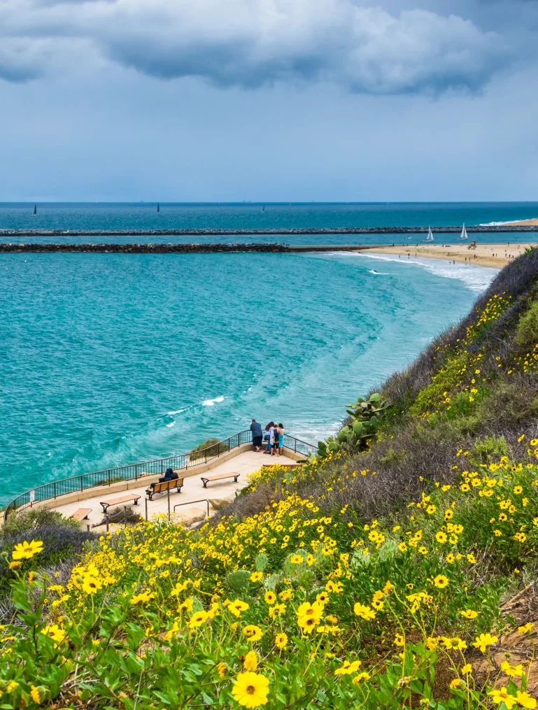 Responsive Banner Image